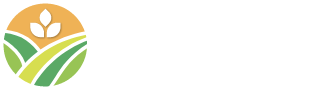 Mais Fértil