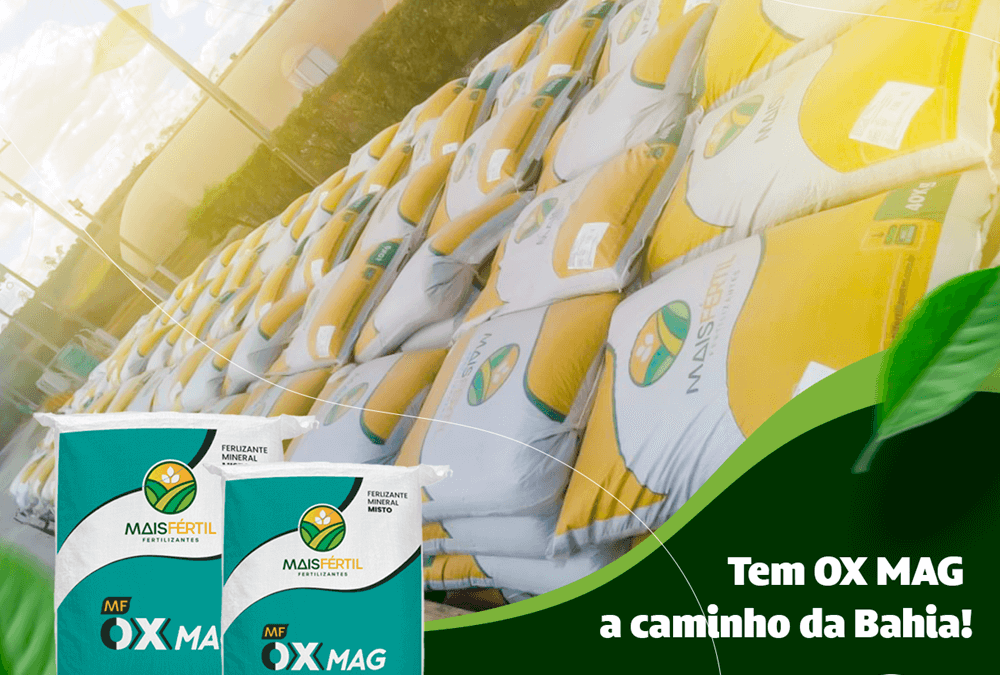 Novidade em Itamaraju, Bahia!