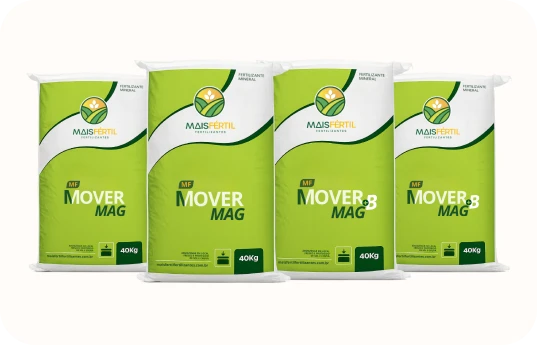 mover_mag_2 (1)