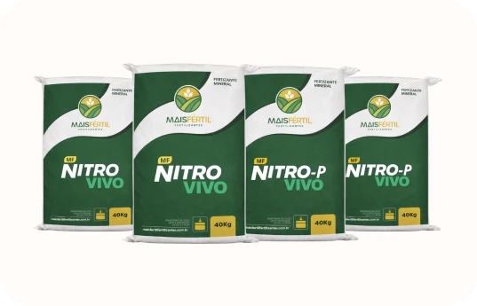 nitro_vivo_2 (1)