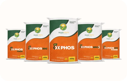 oxphos_2 (1)